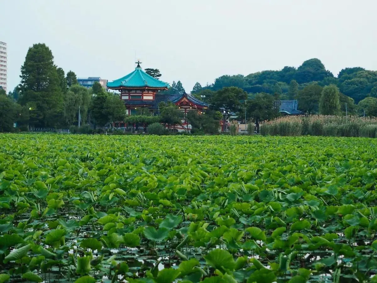 Tora Hotel Taito - Vacation Stay 53059V Tokyo 0*,